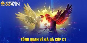 Tổng quan về đá gà cúp c1