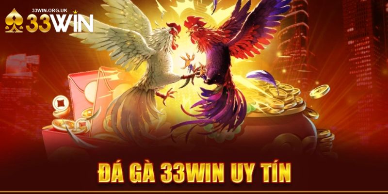 Tham gia đá gà Thomo uy tín tại casino 33win