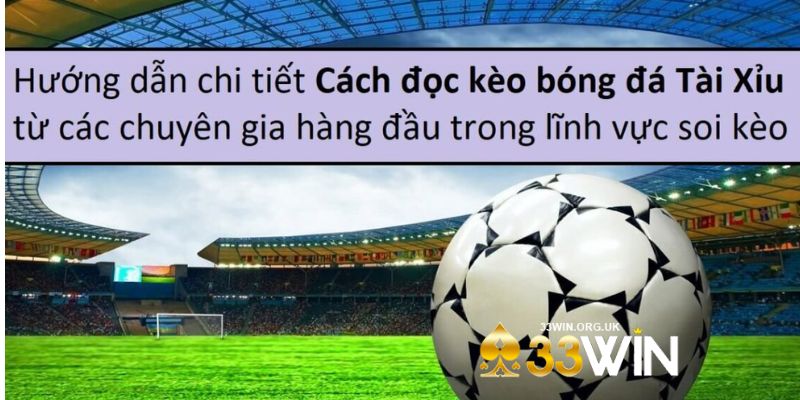 Hướng Dẫn Cách Đọc Kèo Tài Xỉu Dành Cho Tân Thủ